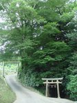 DSC01991.JPG